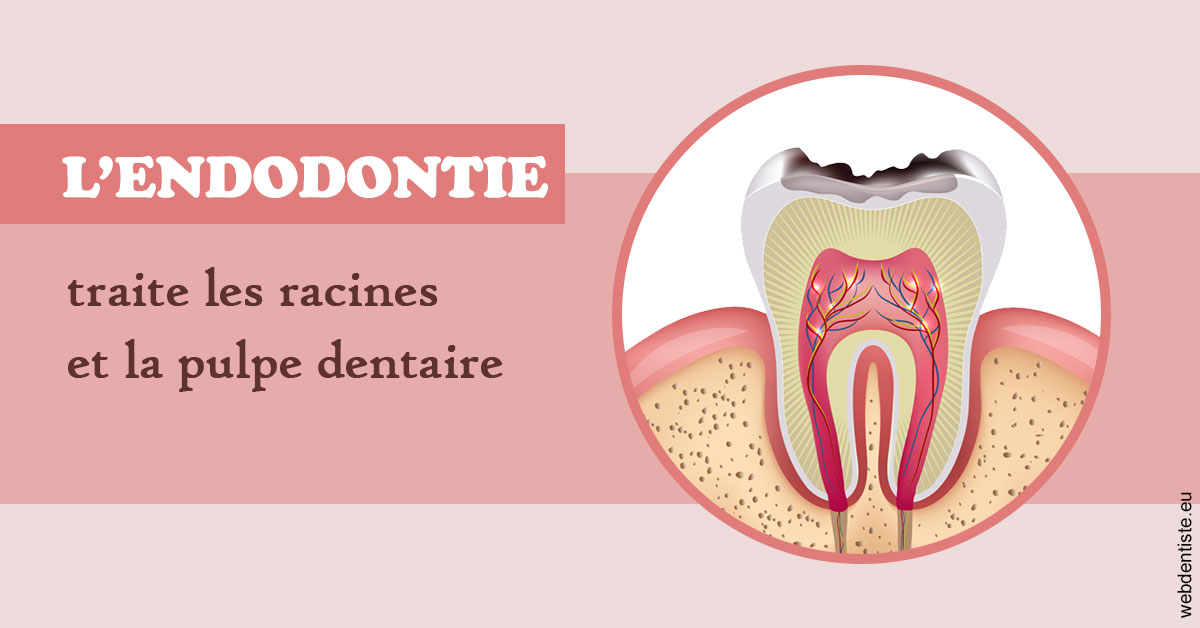 https://dr-gruson-xavier.chirurgiens-dentistes.fr/L'endodontie 2