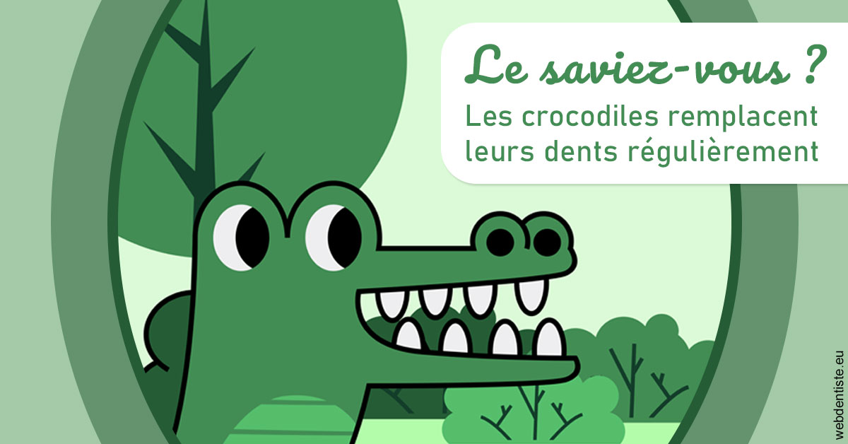 https://dr-gruson-xavier.chirurgiens-dentistes.fr/Crocodiles 2